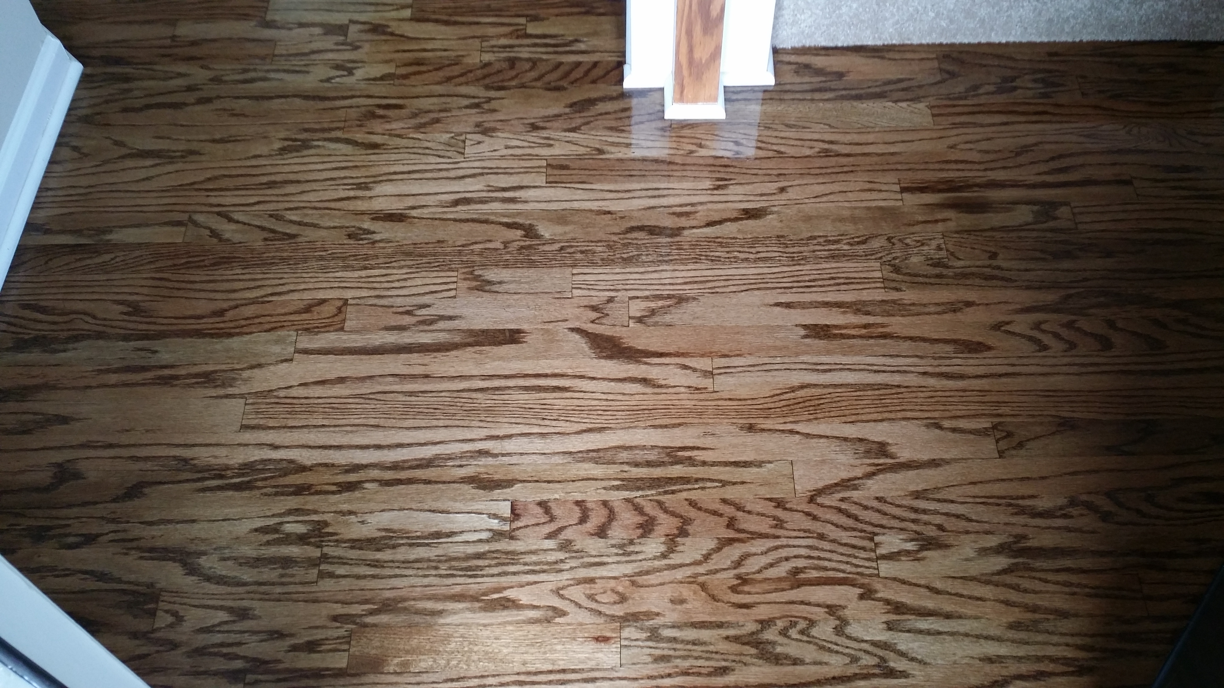 Refinish Engineered Wood Forefront Hardwood Floors